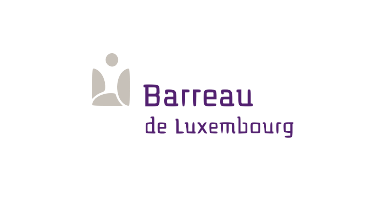 Partner 6